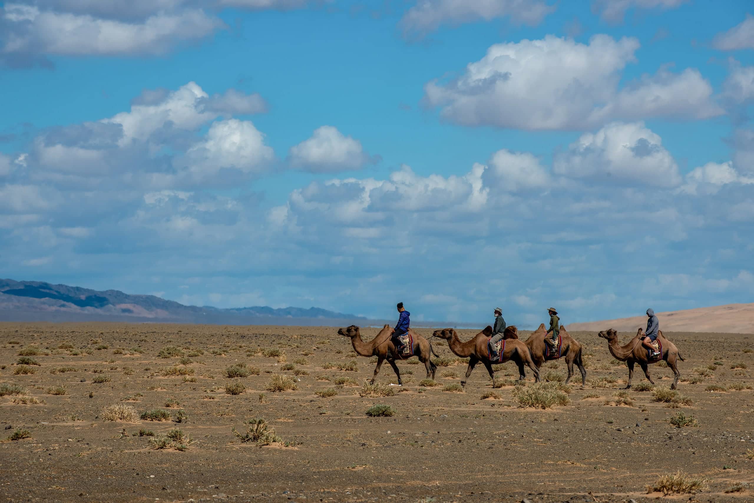 A small group riding Bactrian camels in single file across open Gobi steppe under a bright sky